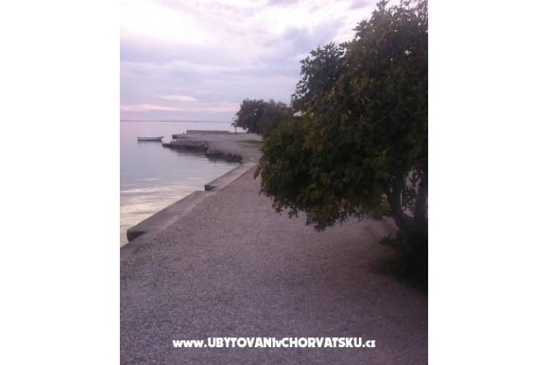 апартаменты Vitrenik – фото 5