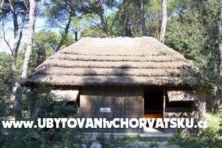 Pine Beach Pakoštane – фото 4