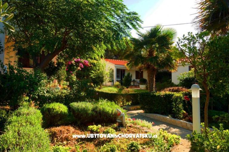 Villa Katarina – фото 3