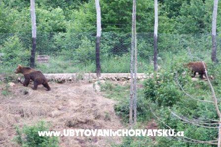комнаты Magdić – фото 14