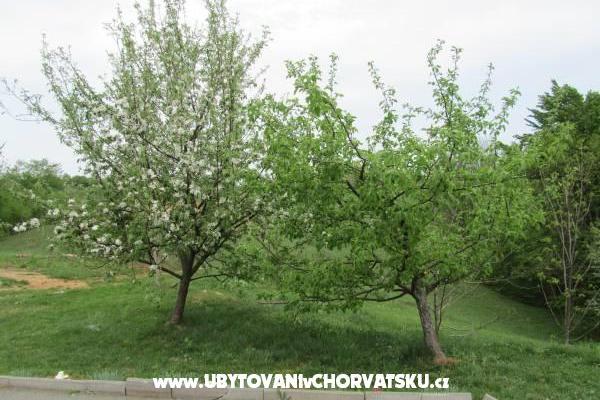 комнаты Sanja – фото 11