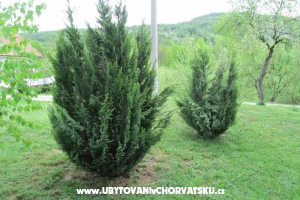 комнаты Sanja – фото 13