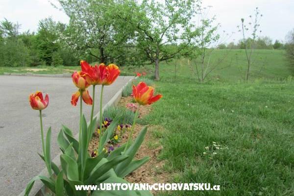 комнаты Sanja – фото 14