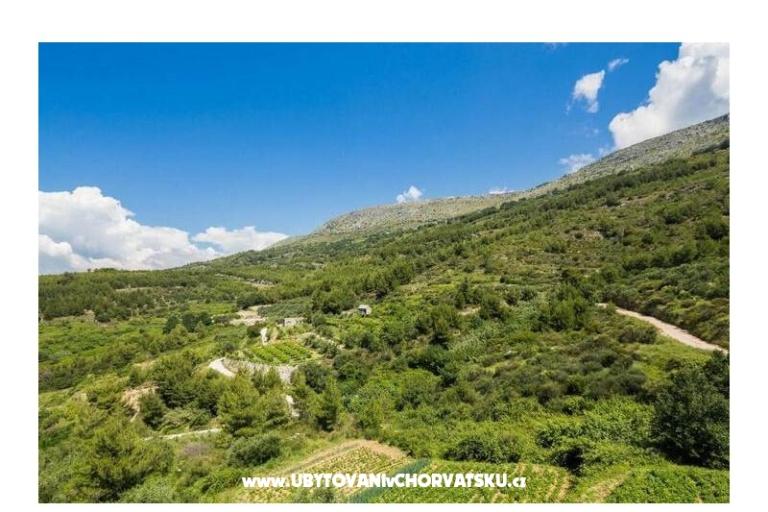 Carso Olea – фото 4