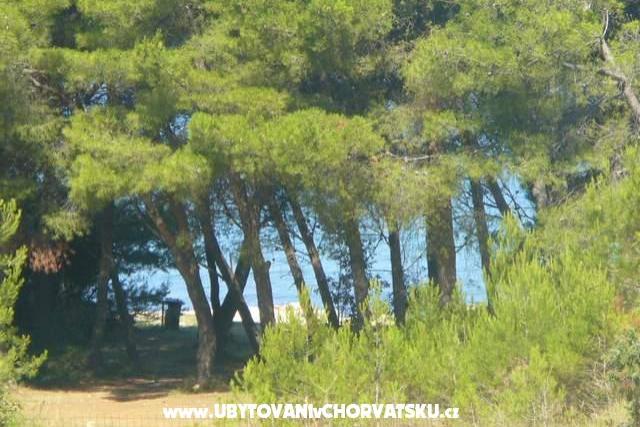 APARTMANI LANA – фото 7