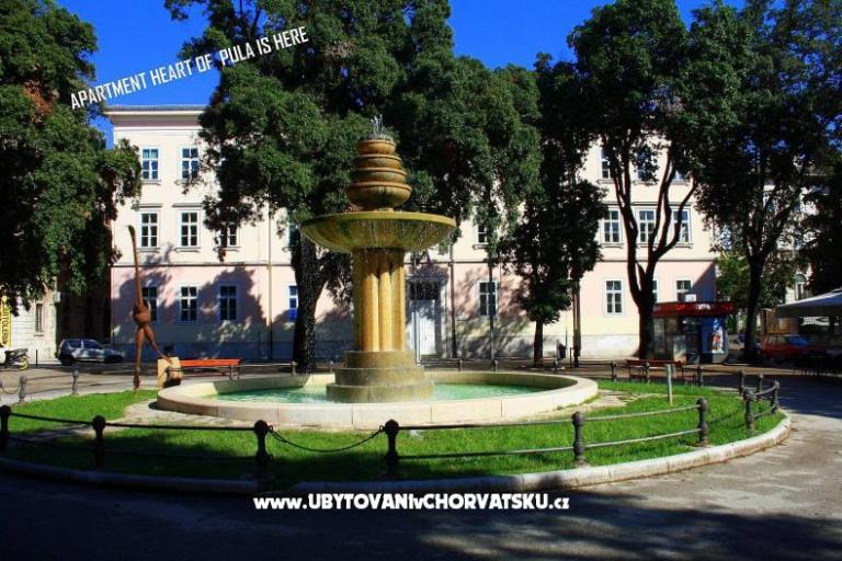 Heart of Pula - Centar Old Town  – фото 13