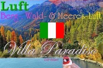 Villa Paradiso – фото 7