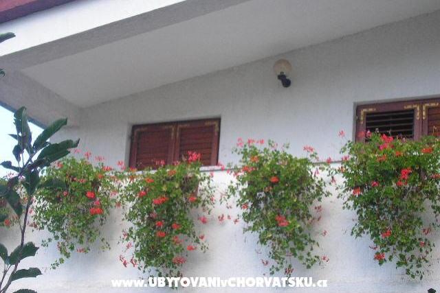 Vila Kristina – фото 6