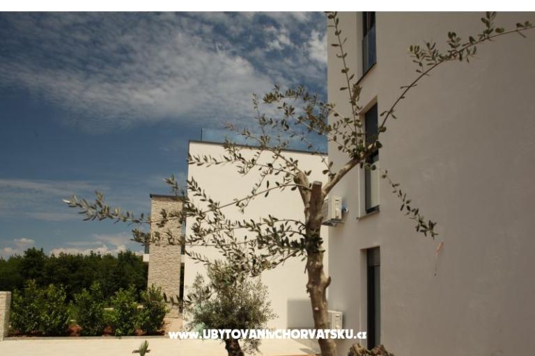 Villa Adriatic Istra – фото 5
