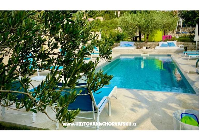 Villa Dube Slano/ villa с бассейном – фото 3