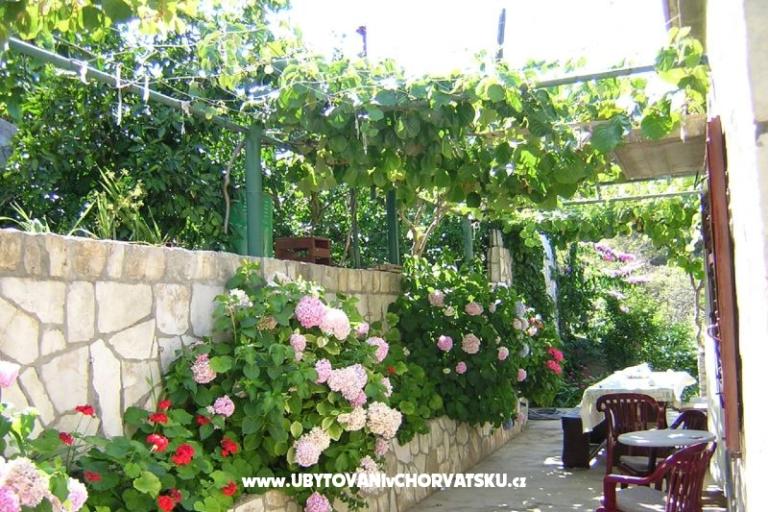 Дом отдыха Villa Marijeta – фото 5