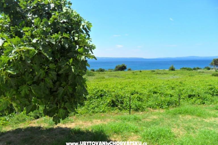 Summerhouse Belomo – фото 3