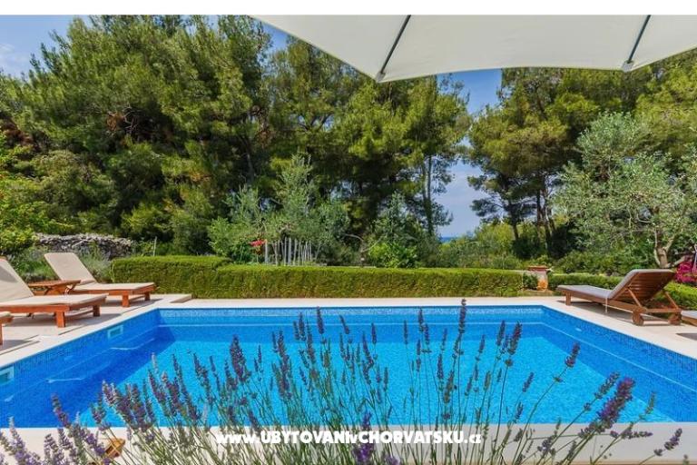Villa Kamenica – фото 4