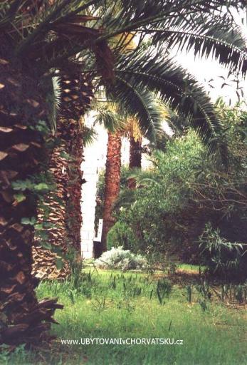 Villa Palma – фото 6