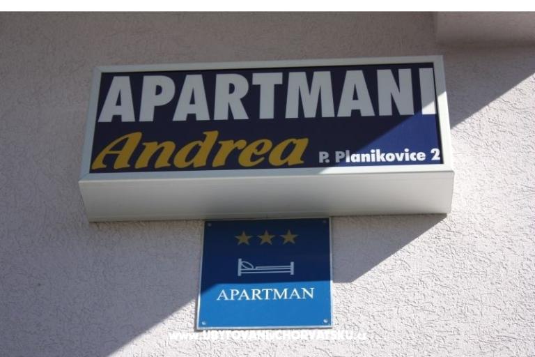 Andre апартаменты – фото 4