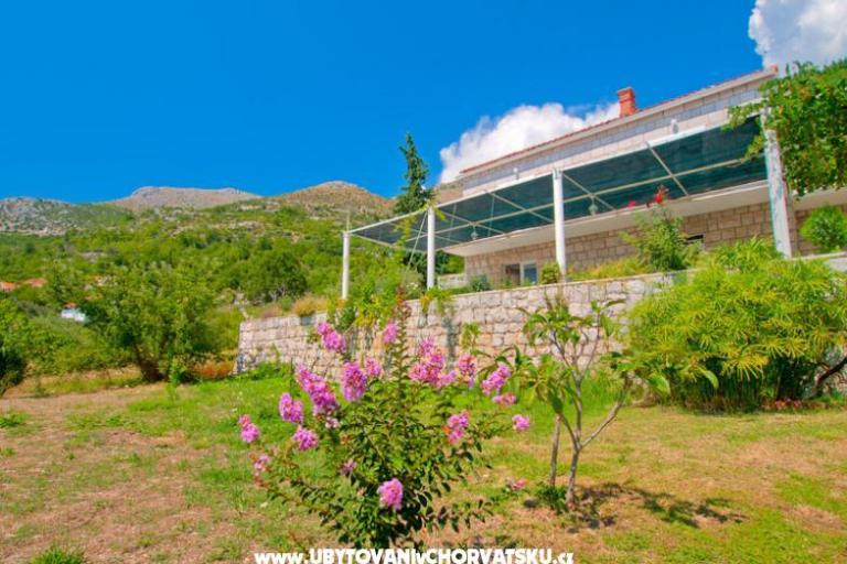 Villa Boskovic – фото 2