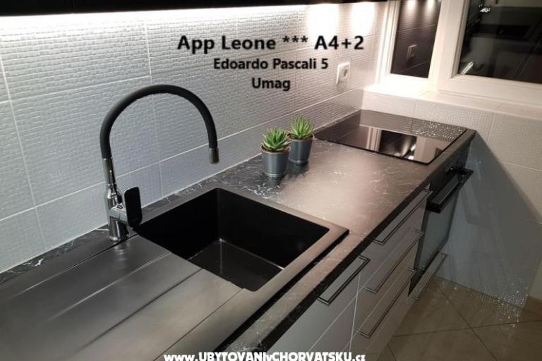 App Leone – фото 3