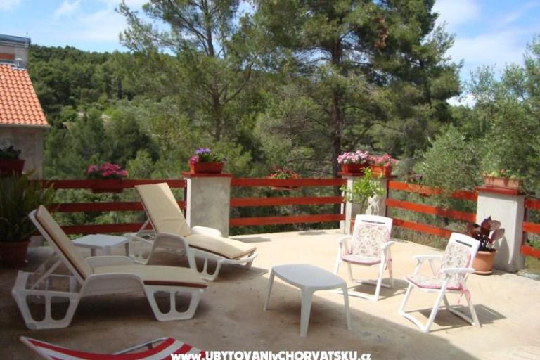 Gradina apartman – фото 11