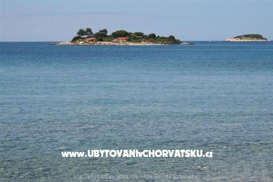 Gradina apartman – фото 14