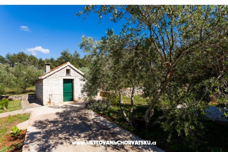 Villa Barbara / Zli stup – фото 18