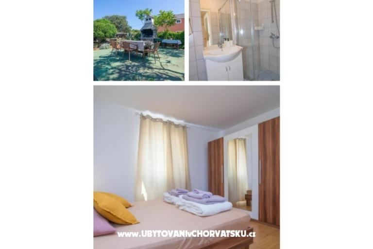 App Bonić – фото 15