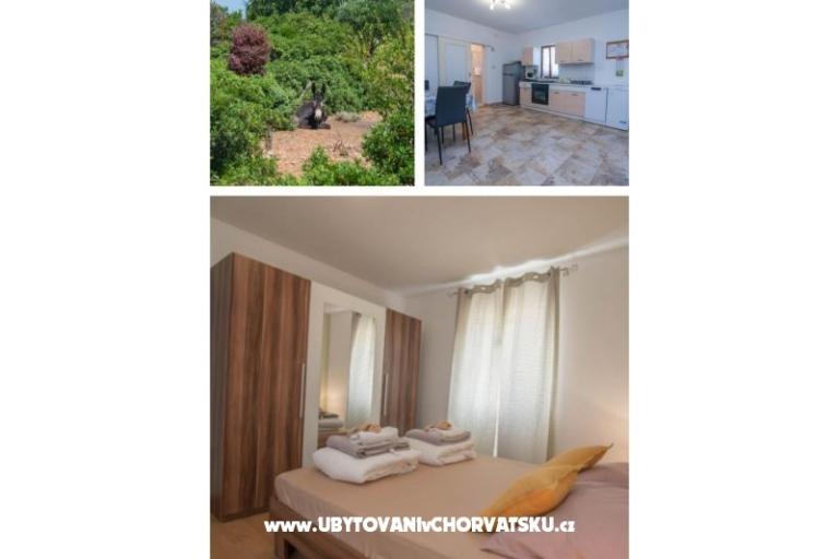 App Bonić – фото 6