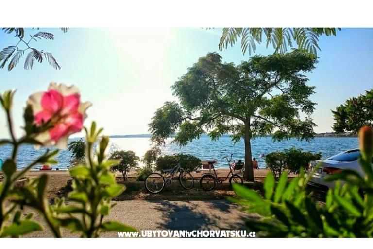 апартамент Ruža – фото 9