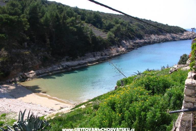 Камп BIŠA – фото 13