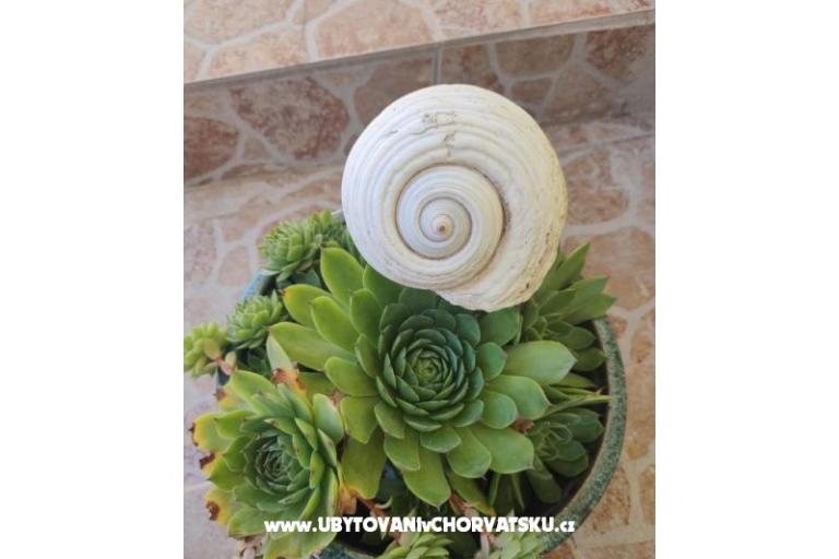 Vila Sara – фото 15