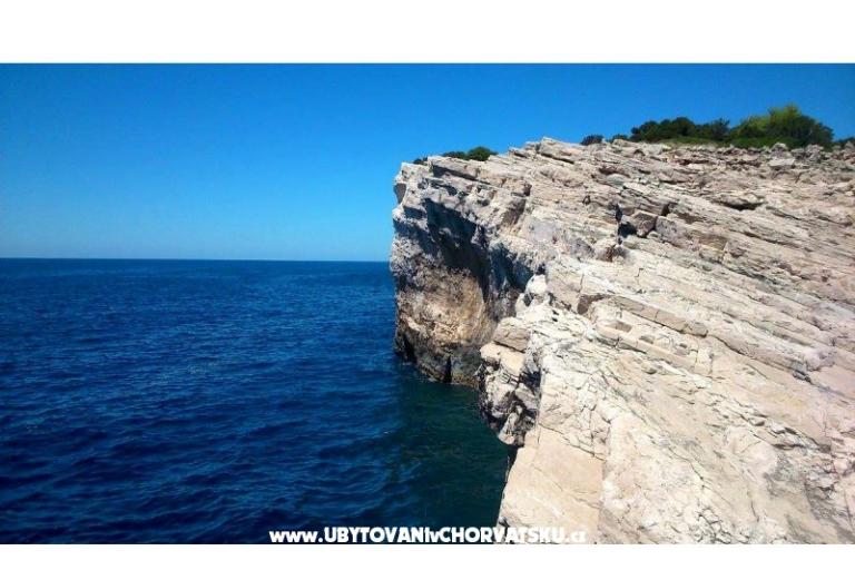 Esso Grиe – фото 4
