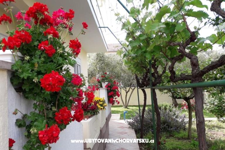 Villa Rosemarino – фото 4