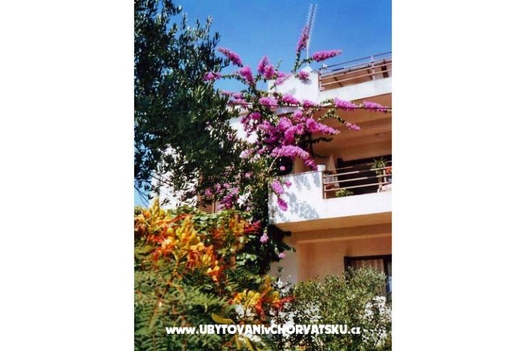 Villa Tereza – фото 2