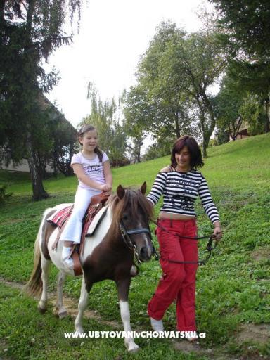 пансионат Vuglec Breg  B&B – фото 6