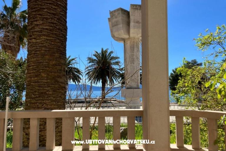 Vila Danica – фото 5