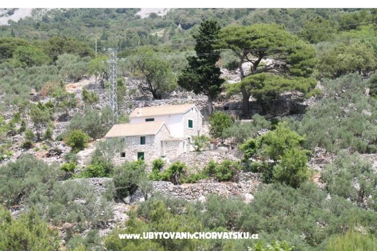 Holiday Home with sea view – фото 2